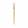Jane Iredale Chisel Shader Brush